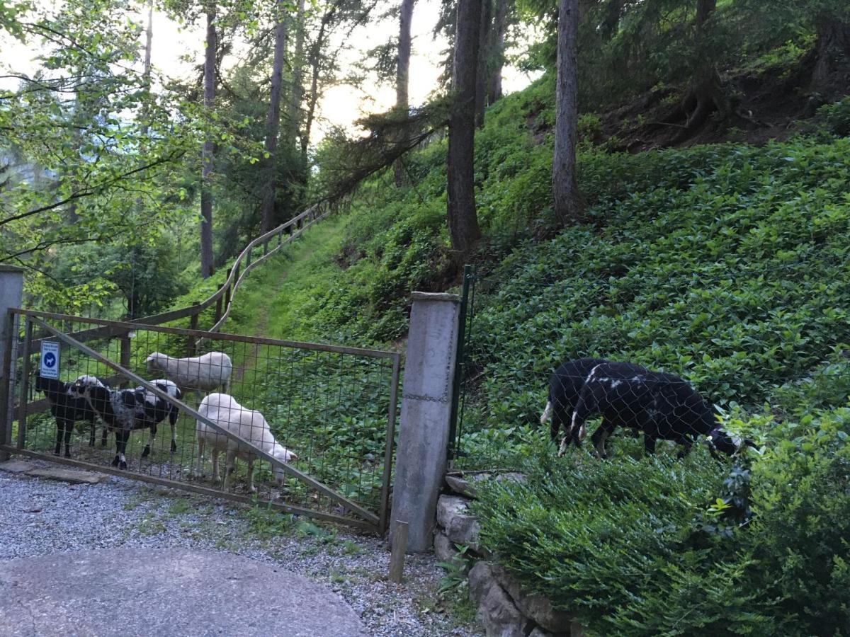 Pointhaeusl Villa Pfarrwerfen Buitenkant foto